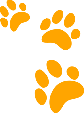 What our customers are saying