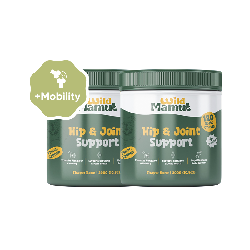 2 Pack - Hip & Joint Wellness - Dog Mobility Support Soft Chews – 240 Count