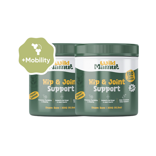 2 Pack - Hip & Joint Wellness - Dog Mobility Support Soft Chews – 240 Count
