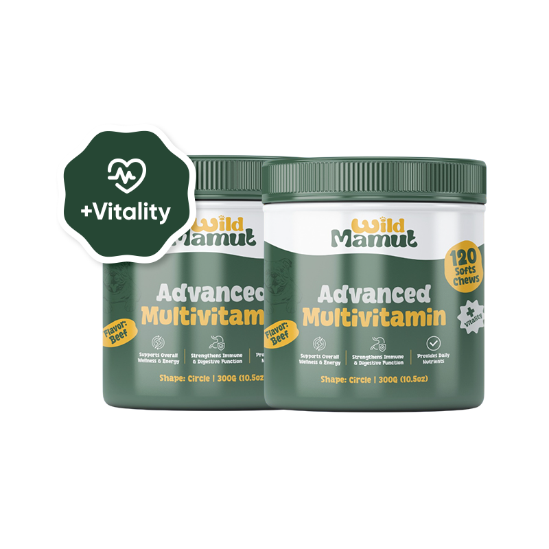 2 Pack - Advance Multivitamin - Dog Wellness & Nutrition Soft Chews – 240 Count