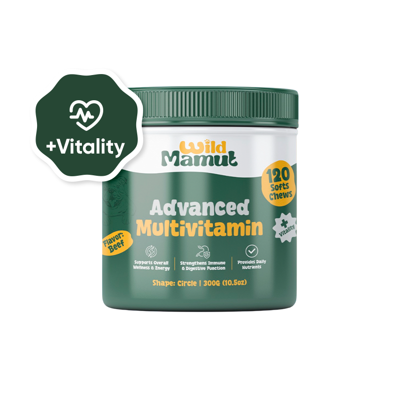 Advance Multivitamin - Dog Wellness & Nutrition Soft Chews – 120 Count