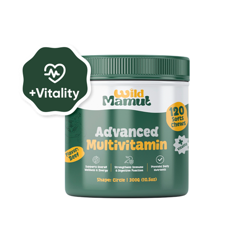 Advance Multivitamin - Dog Wellness & Nutrition Soft Chews – 120 Count