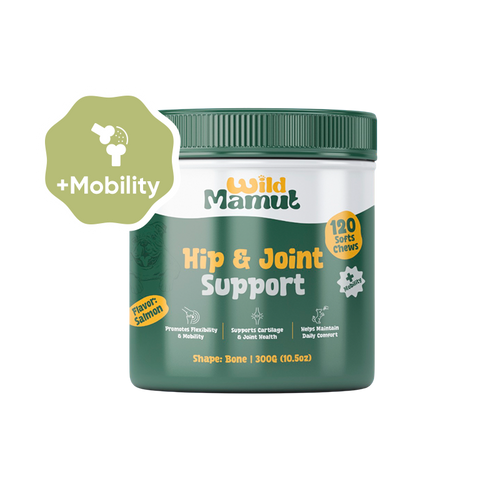 Hip & Joint Wellness - Dog Mobility Support Soft Chews – 120 Count